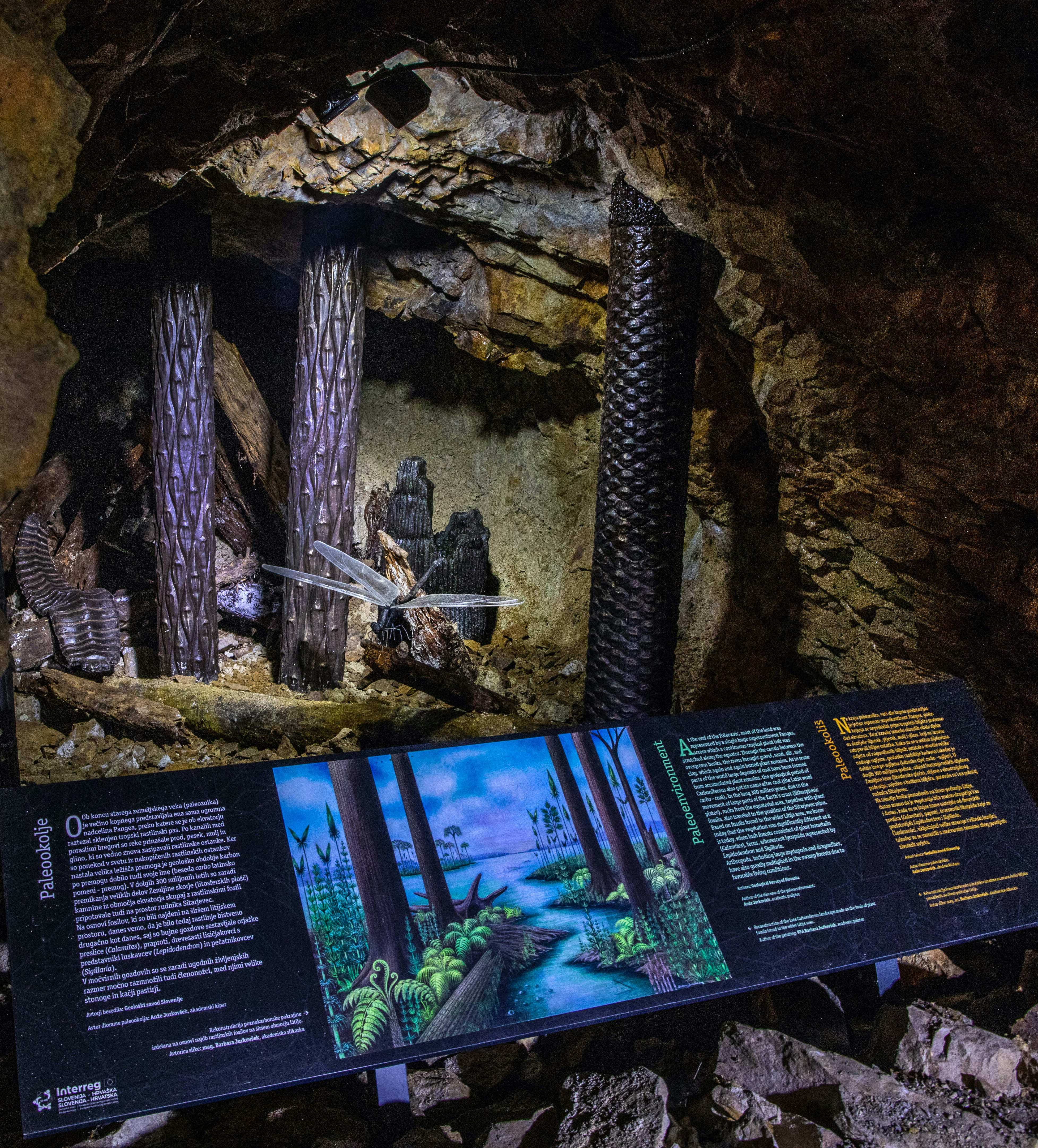 Reconstruction and interpretation of the paleoenvironment in the lithium mine.